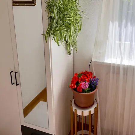 Homestay Bears View Bb