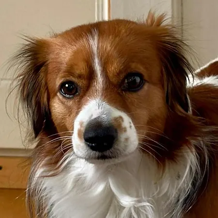 Bears View Bb Privatunterkunft