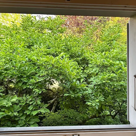 Bears View Bb * برن