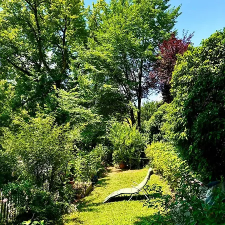 Bears View Bb برن