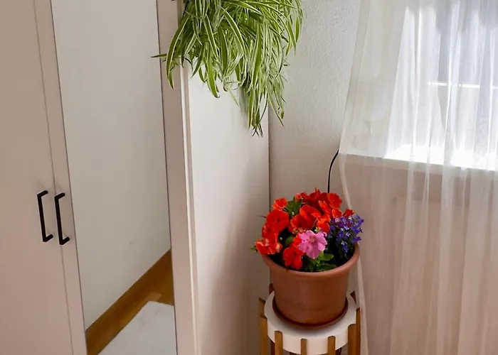 홈스테이 Bears View Bb