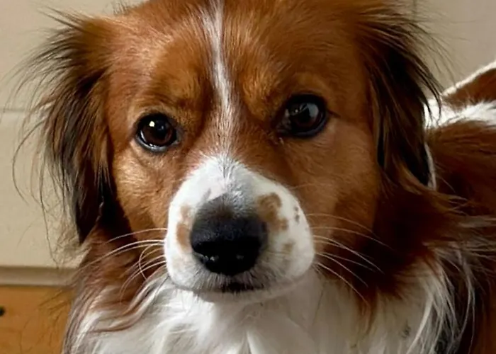 Bears View Bb 홈스테이