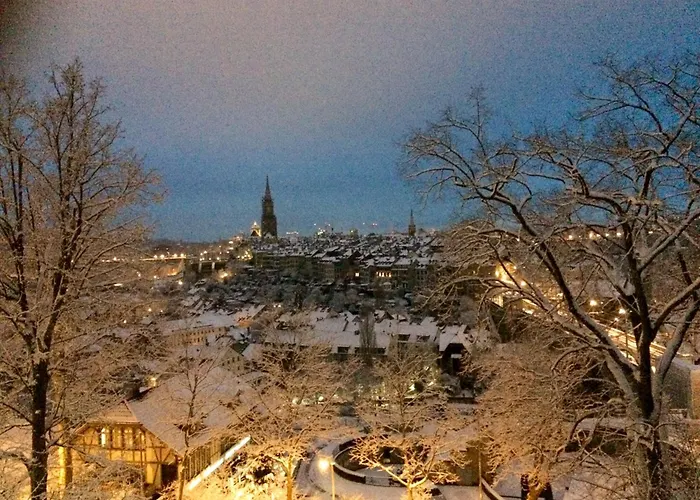 Bears View Bb 홈스테이 *