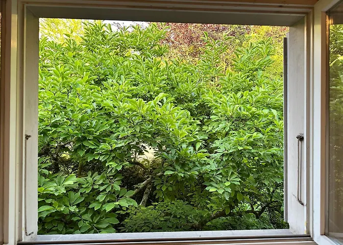 Bears View Bb * Berna