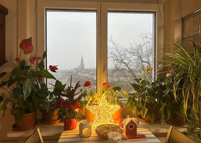 Bears View Bb Берн