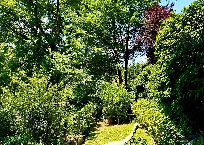 Bears View Bb Берн