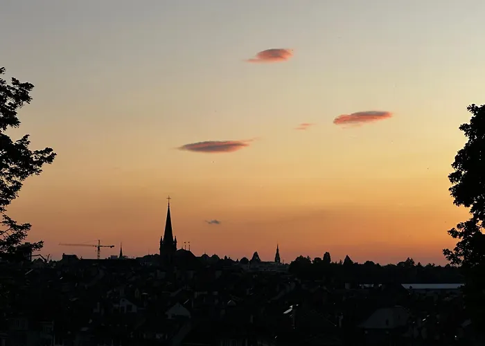 Bears View Bb 홈스테이 *