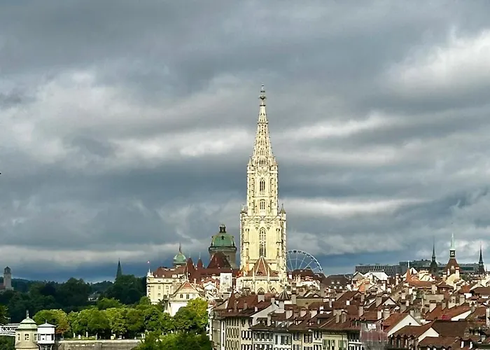 Bears View Bb * 베른